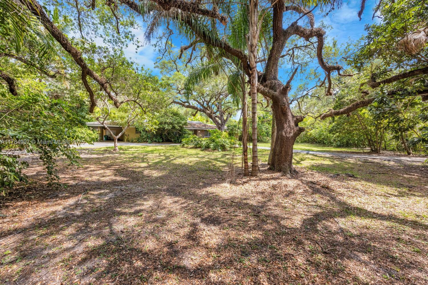 4151 Douglas Road Miami, FL 33133 - Photo 9 of 24 a view of backyard with green space