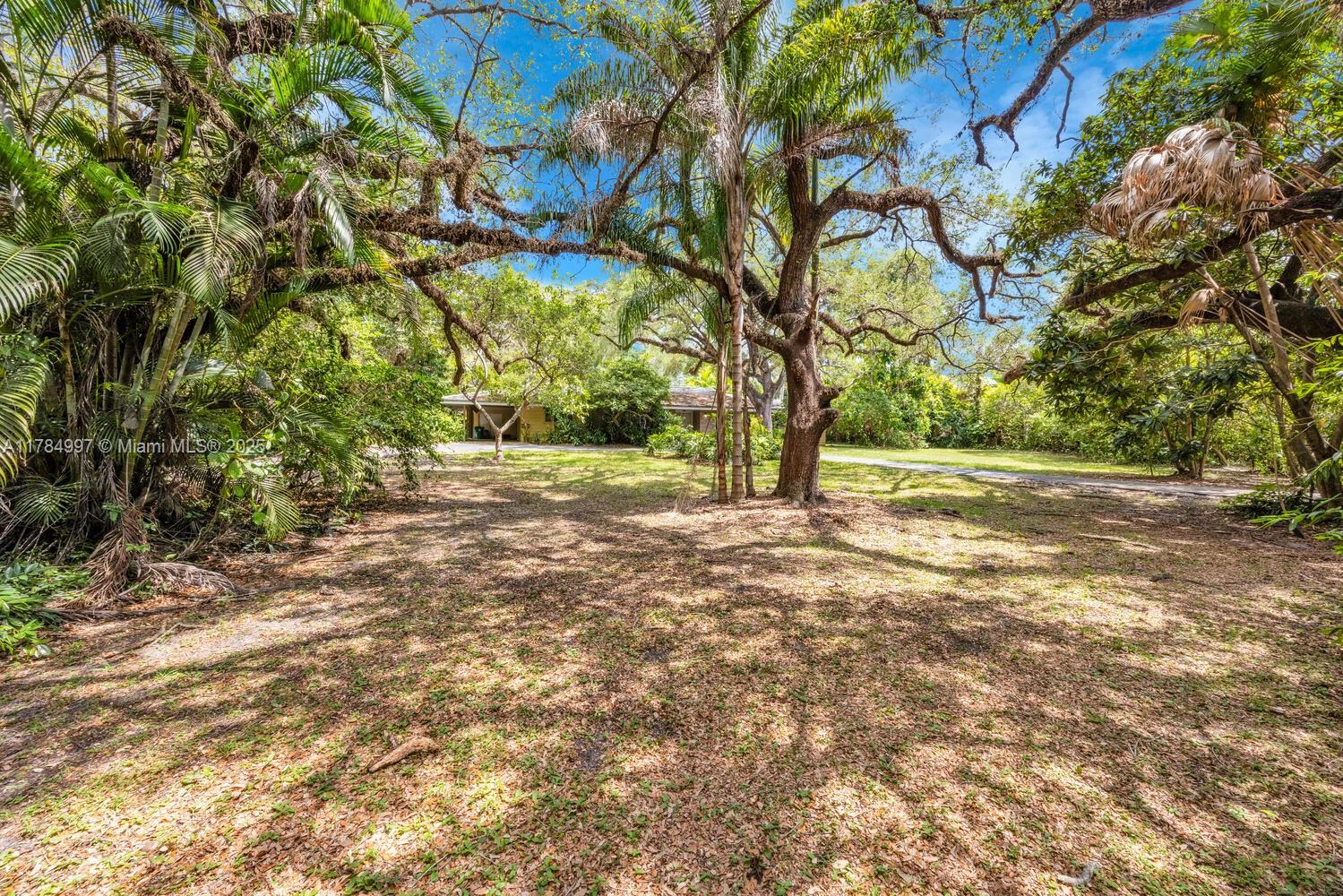 4151 Douglas Road Miami, FL 33133 - Photo 10 of 24 a view of yard with tree