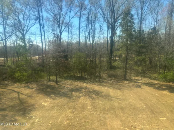 $439,900 | 939 Buttermilk Drive, Nesbit, MS 38651