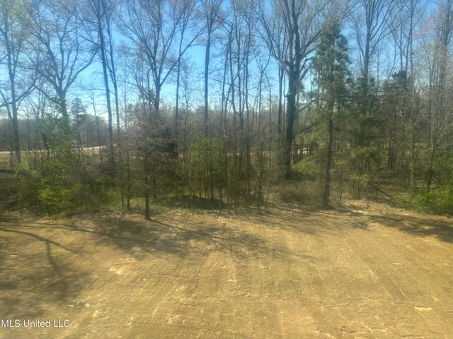 $439,900 | 939 Buttermilk Drive, Nesbit, MS 38651