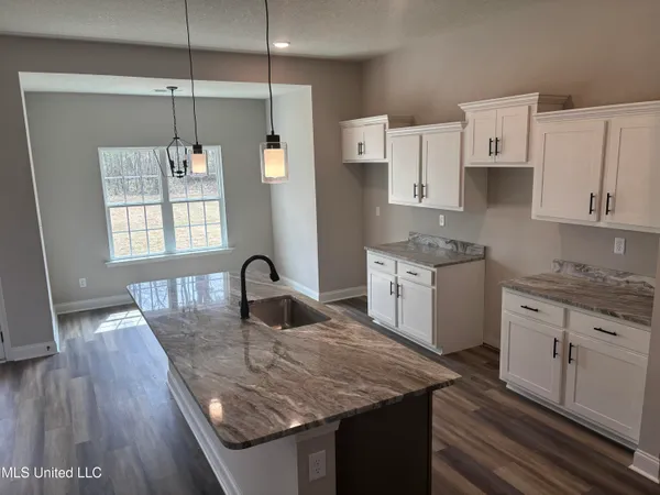 $439,900 | 939 Buttermilk Drive, Nesbit, MS 38651