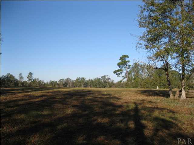 4111 Schifko Road Cantonment, FL 32533 - Photo 3 of 9