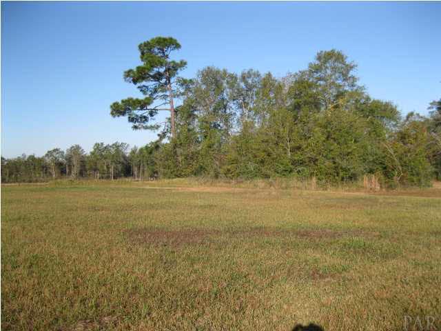 4111 Schifko Road Cantonment, FL 32533 - Photo 6 of 9