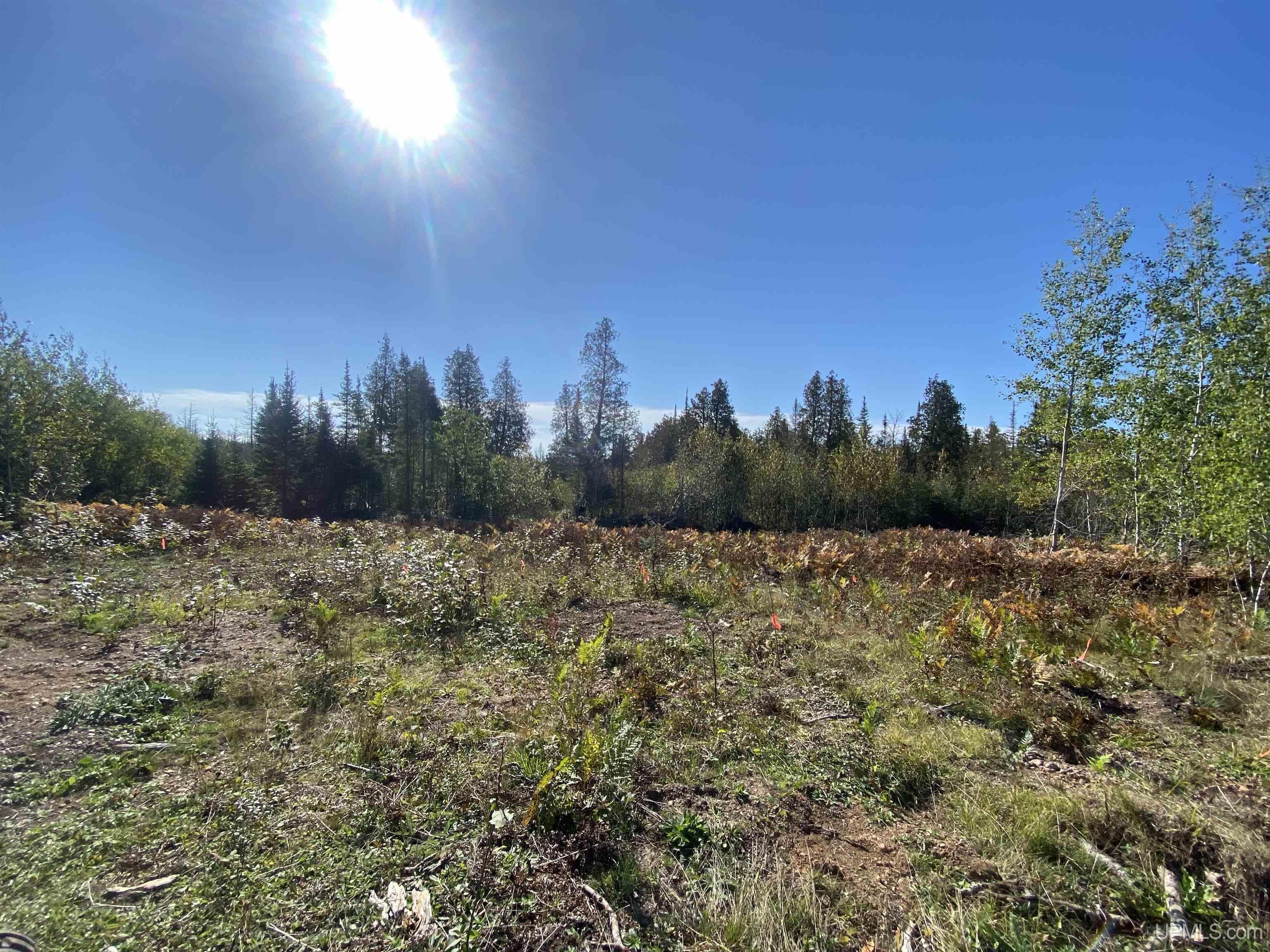 5586 South Helen Lake Road Ishpeming, MI 49849 - Photo 47 of 54