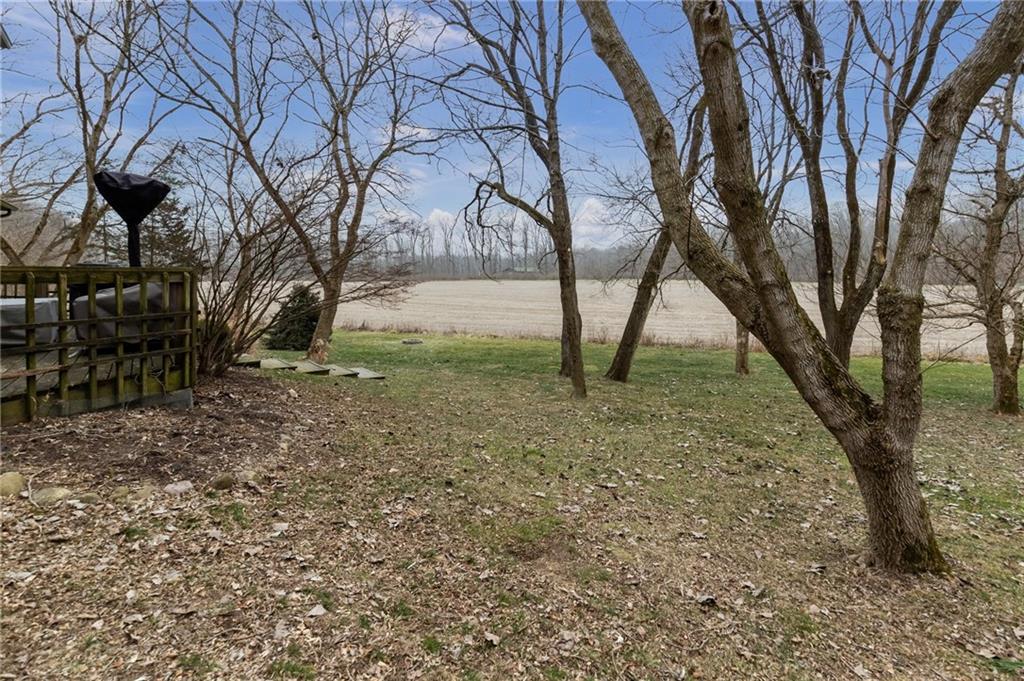 1208 Ridgeview Court Avon, IN 46123 - Photo 20 of 24