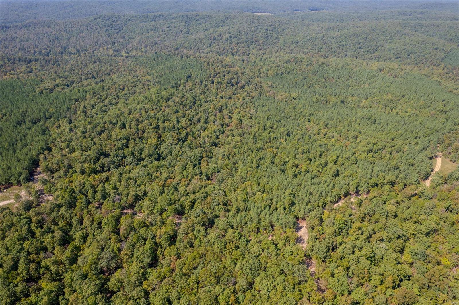 0 Madison Cr Fredericktown, MO 63645 - Photo 11 of 22