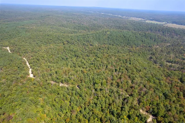 $35,665 | 0 Madison Cr, Fredericktown, MO 63645