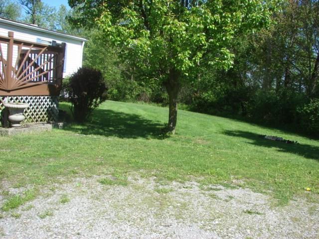 143 Hunter Lane Rochester, PA 15074 - Photo 2 of 13 View of side yard