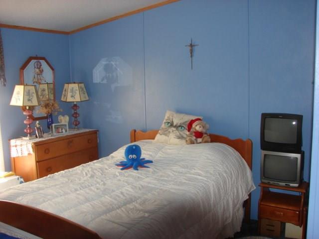 143 Hunter Lane Rochester, PA 15074 - Photo 12 of 13 2nd Bedroom