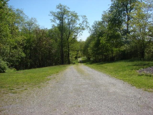 143 Hunter Lane Rochester, PA 15074 - Photo 3 of 13 Driveway, Quiet & Private!!!