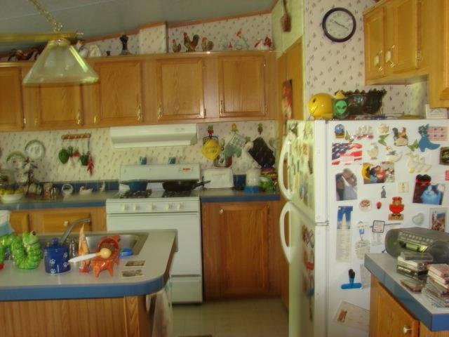 143 Hunter Lane Rochester, PA 15074 - Photo 7 of 13 Kitchen