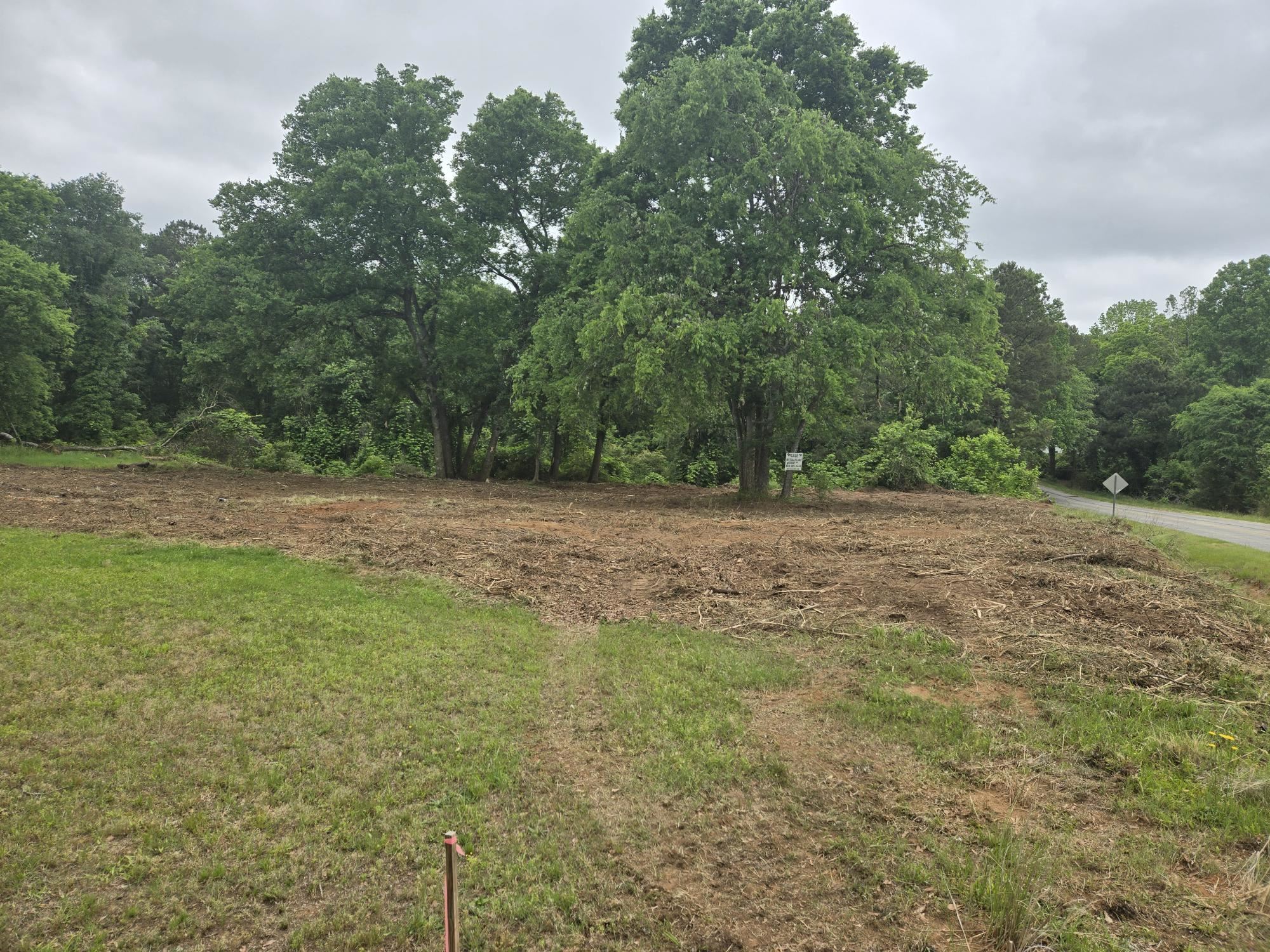 0 Pepper Street Central, SC 29630 - Photo 4 of 8