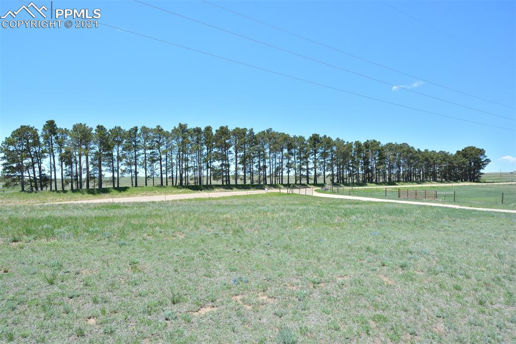 29920 Washington Road Calhan, CO 80808 - Photo 29 of 29