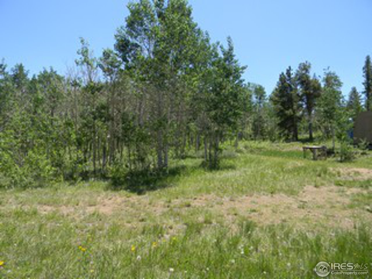 27 Tami Road Red Feather Lakes, CO 80545 - Photo 1 of 13 Gallery Image 1
