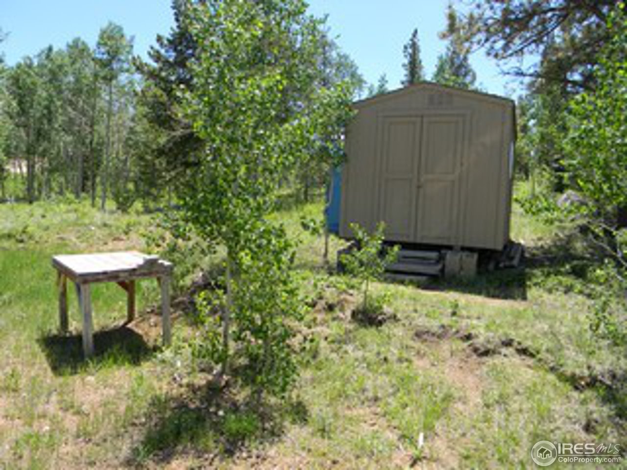 27 Tami Road Red Feather Lakes, CO 80545 - Photo 5 of 13 Gallery Image 5