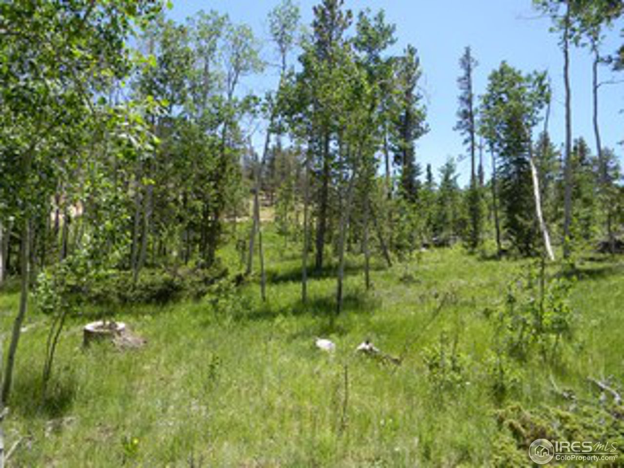 27 Tami Road Red Feather Lakes, CO 80545 - Photo 8 of 13 Gallery Image 8