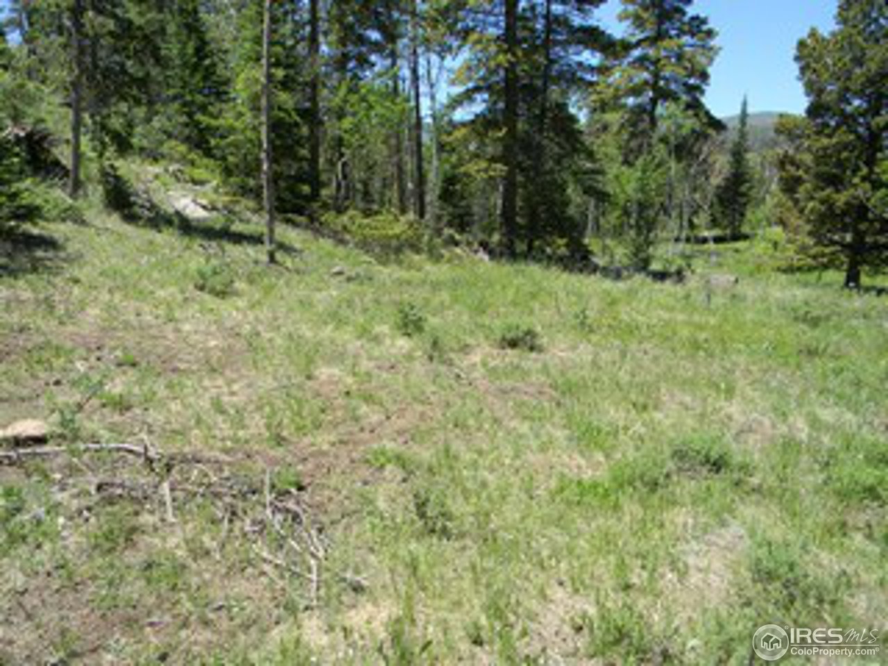 27 Tami Road Red Feather Lakes, CO 80545 - Photo 10 of 13 Gallery Image 10