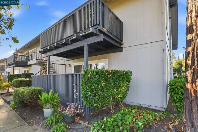 a view of a backyard with plants