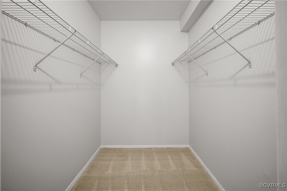 1503 Largo Road, Unit T3 Henrico, VA 23238 - Photo 24 of 33 Walk in closet with light colored carpet