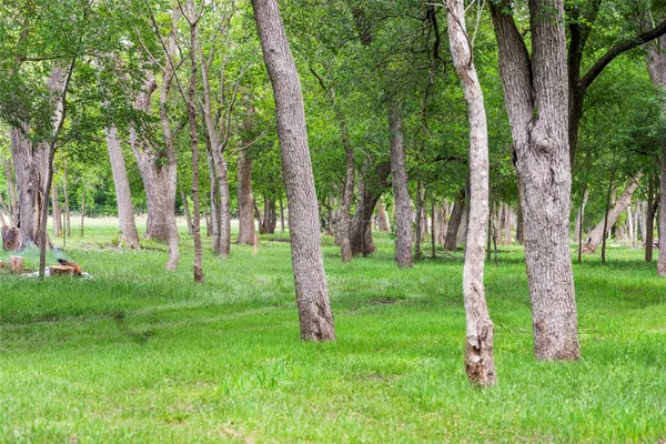 $569,999 | 820 County Road 454, Taylor, TX 76574