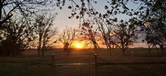 $569,999 | 820 County Road 454, Taylor, TX 76574