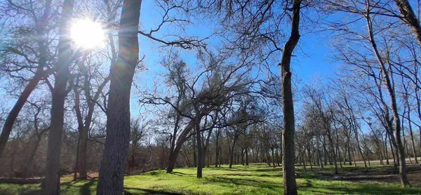 $569,999 | 820 County Road 454, Taylor, TX 76574