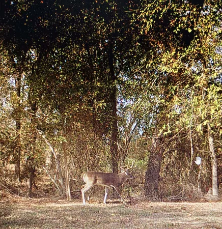 $569,999 | 820 County Road 454, Taylor, TX 76574