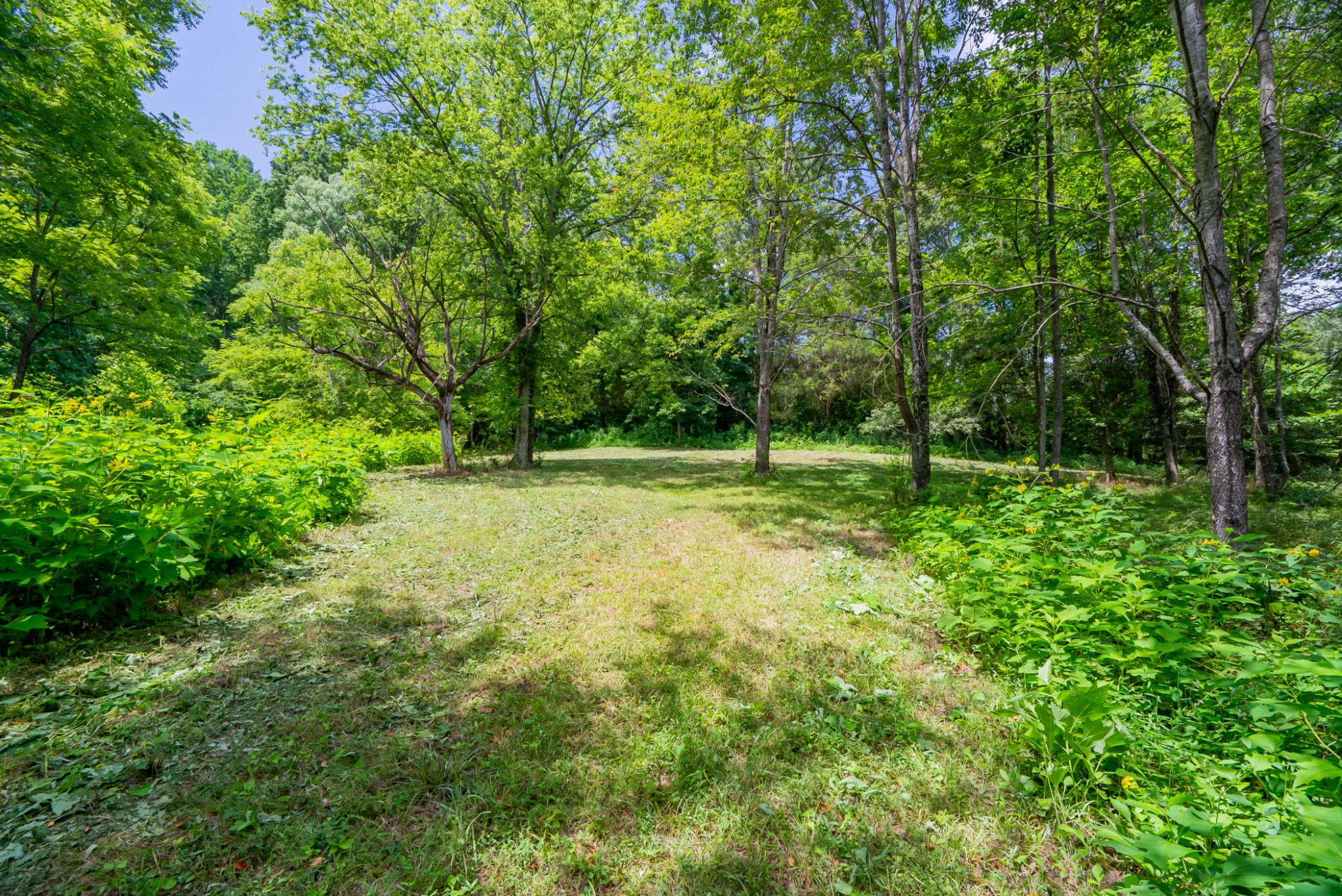 0 Bethlehem Road Springfield, TN 37172 - Photo 22 of 41 Gallery Image 22