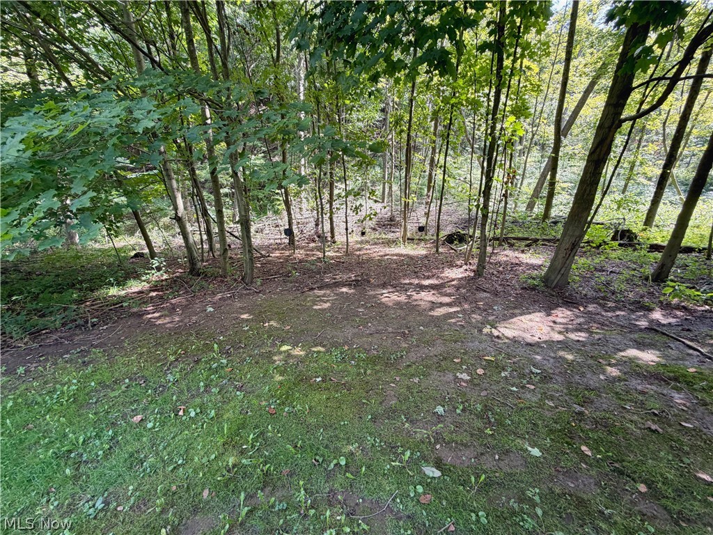 44073 Bell Road Lisbon, OH 44432 - Photo 45 of 49 Gallery Image 45