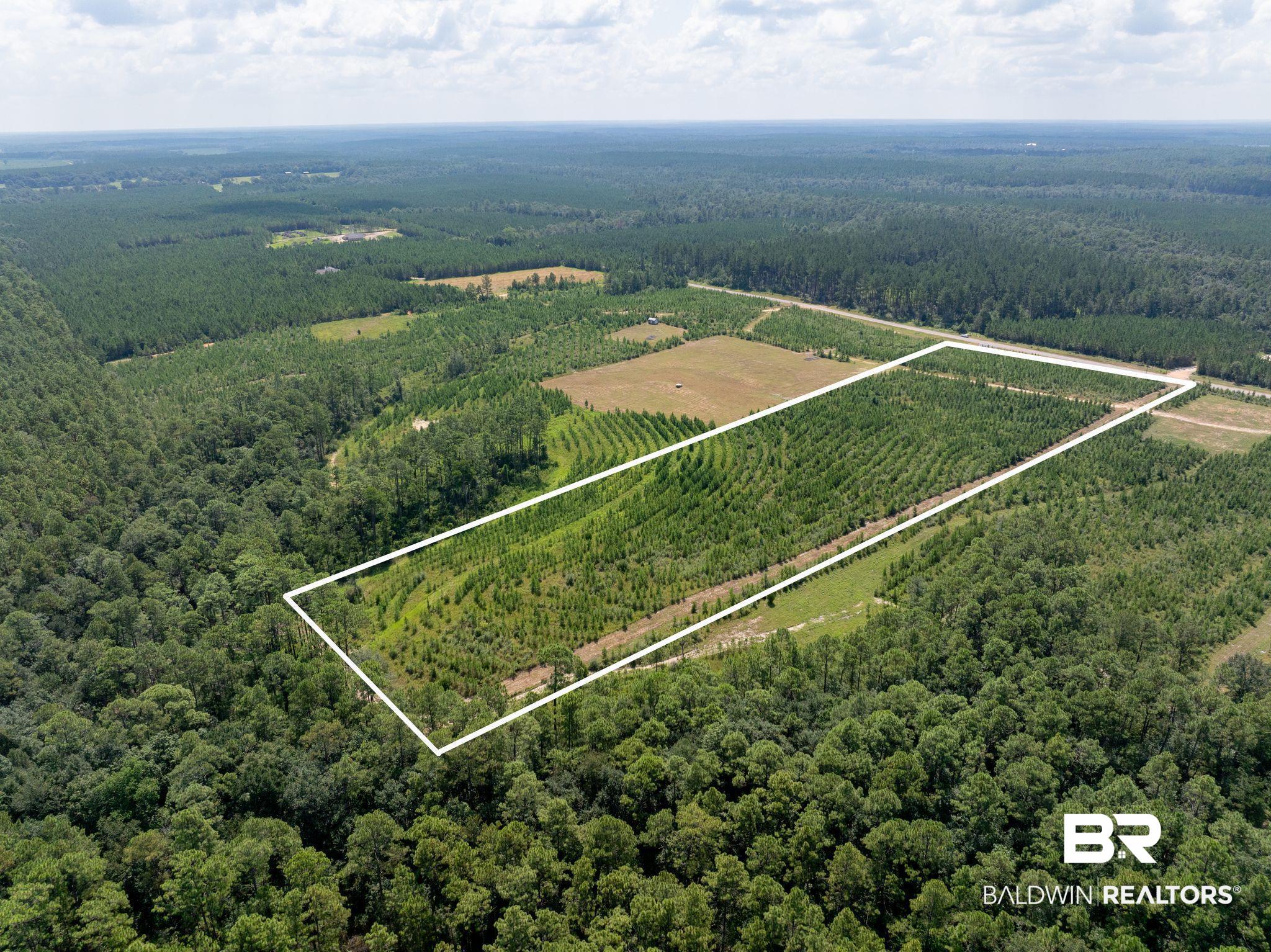 0 Horseneck Road Bay Minette, AL 36507 - Photo 2 of 11