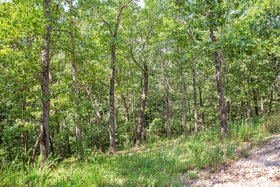 0 Hidden Valley Road Clever, MO 65631 - Photo 1 of 1 27