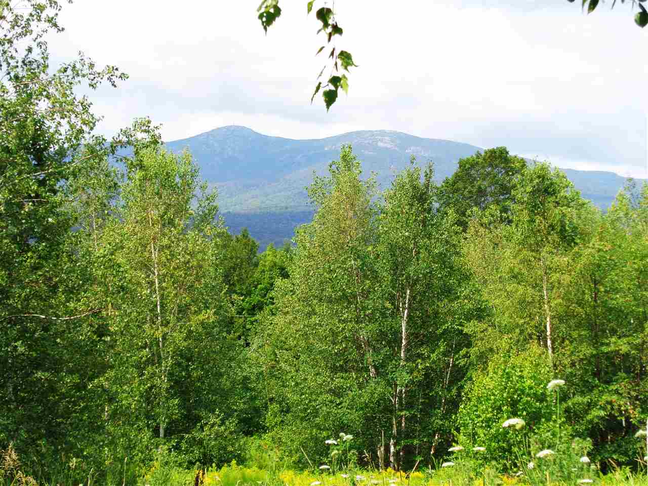 646 Perkins Hill Road Alexandria, NH 03222 - Photo 1 of 9 Gallery Image 1