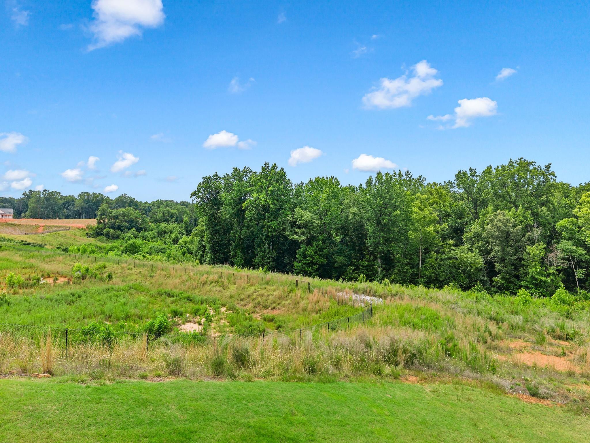 1427 Boatswain Drive Inman, SC 29349 - Photo 39 of 42