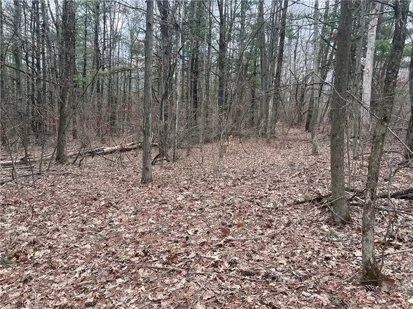 $19,900 | Undisclosed Address, Lindley, NY 14858