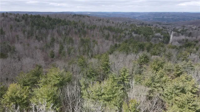 $19,900 | Undisclosed Address, Lindley, NY 14858