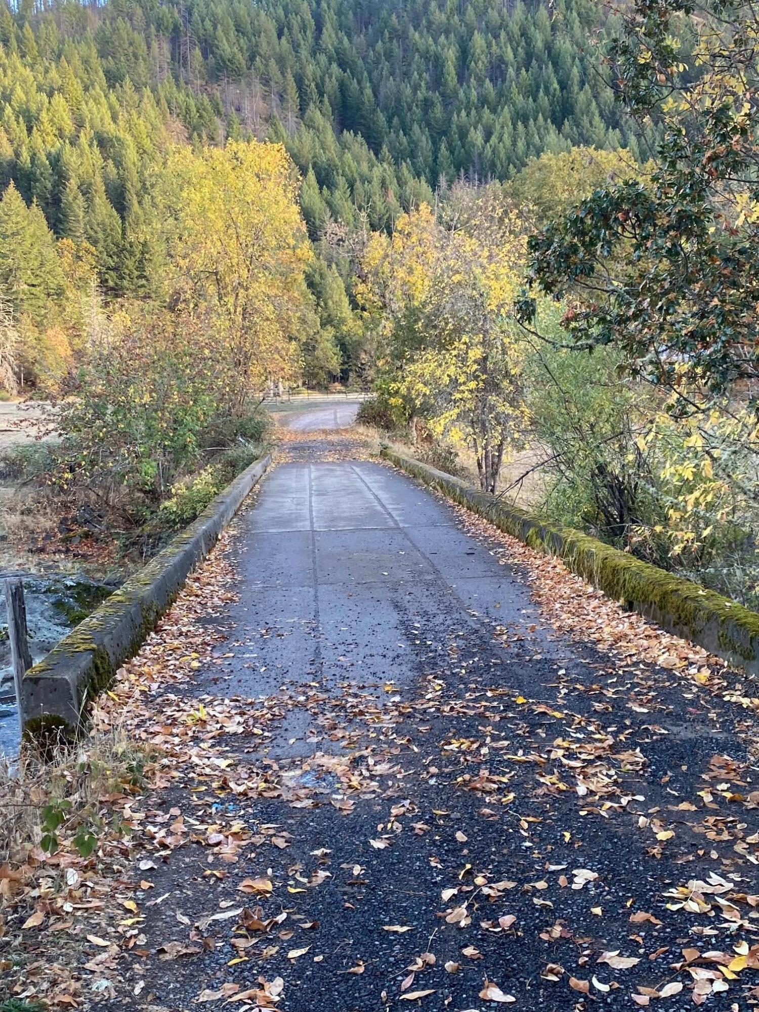0 Elk Creek Road, Unit 500 Trail, OR 97541 - Photo 3 of 44 IMG_3698