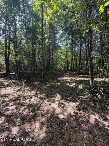 $178,000 | 1055 Big 4 Road, La Follette, TN 37766