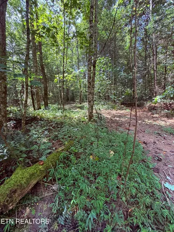 $178,000 | 1055 Big 4 Road, La Follette, TN 37766