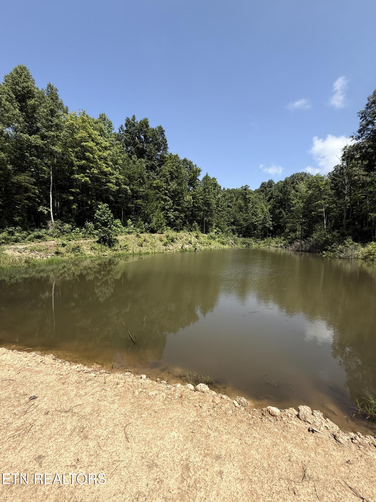 1055 Big 4 Road La Follette, TN 37766 - Photo 20 of 21 View from Dam