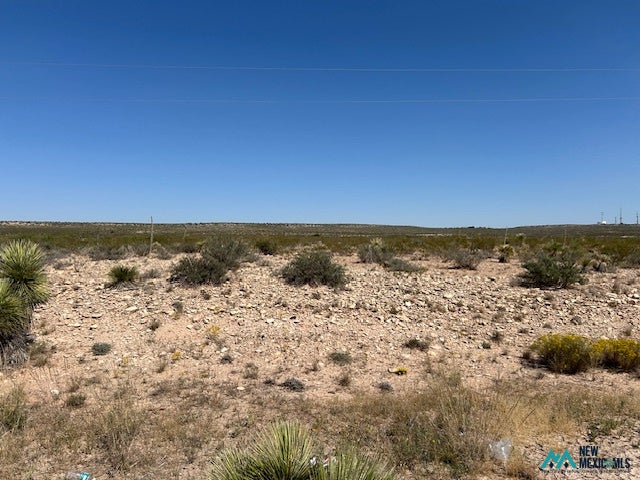 396 North Happy Valley Road Carlsbad, NM 88220 - Photo 2 of 9 Gallery Image 2