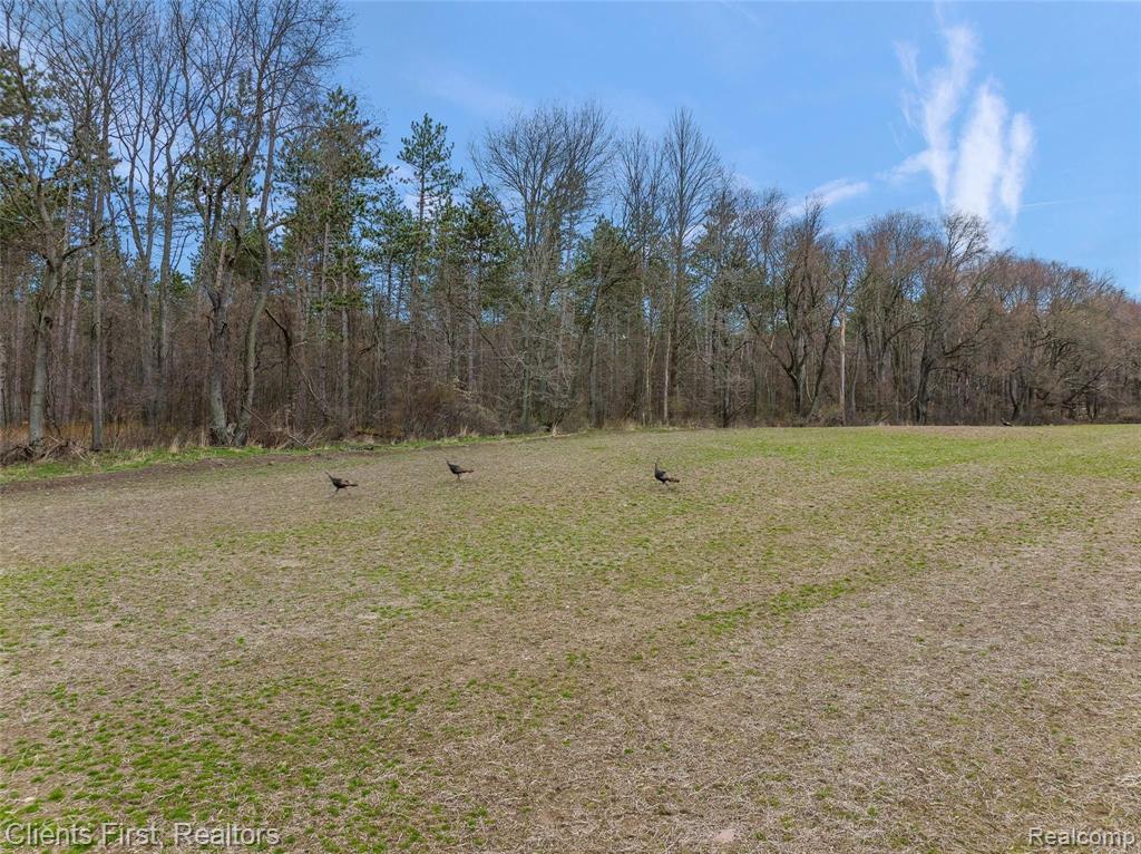 8260 South Lincoln Road Shepherd, MI 48883 - Photo 53 of 68
