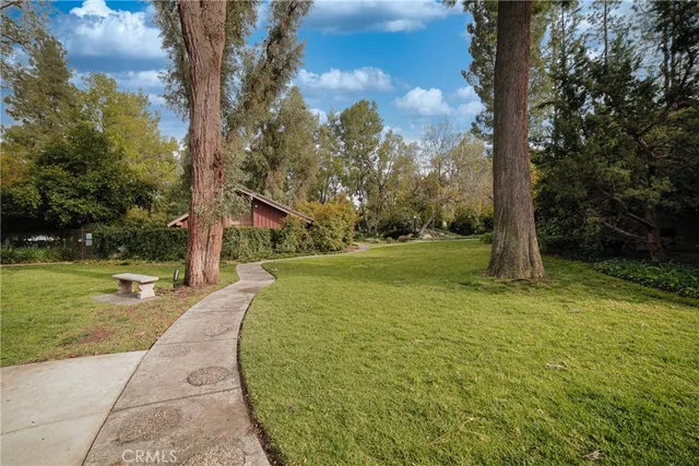 a view of yard with green space
