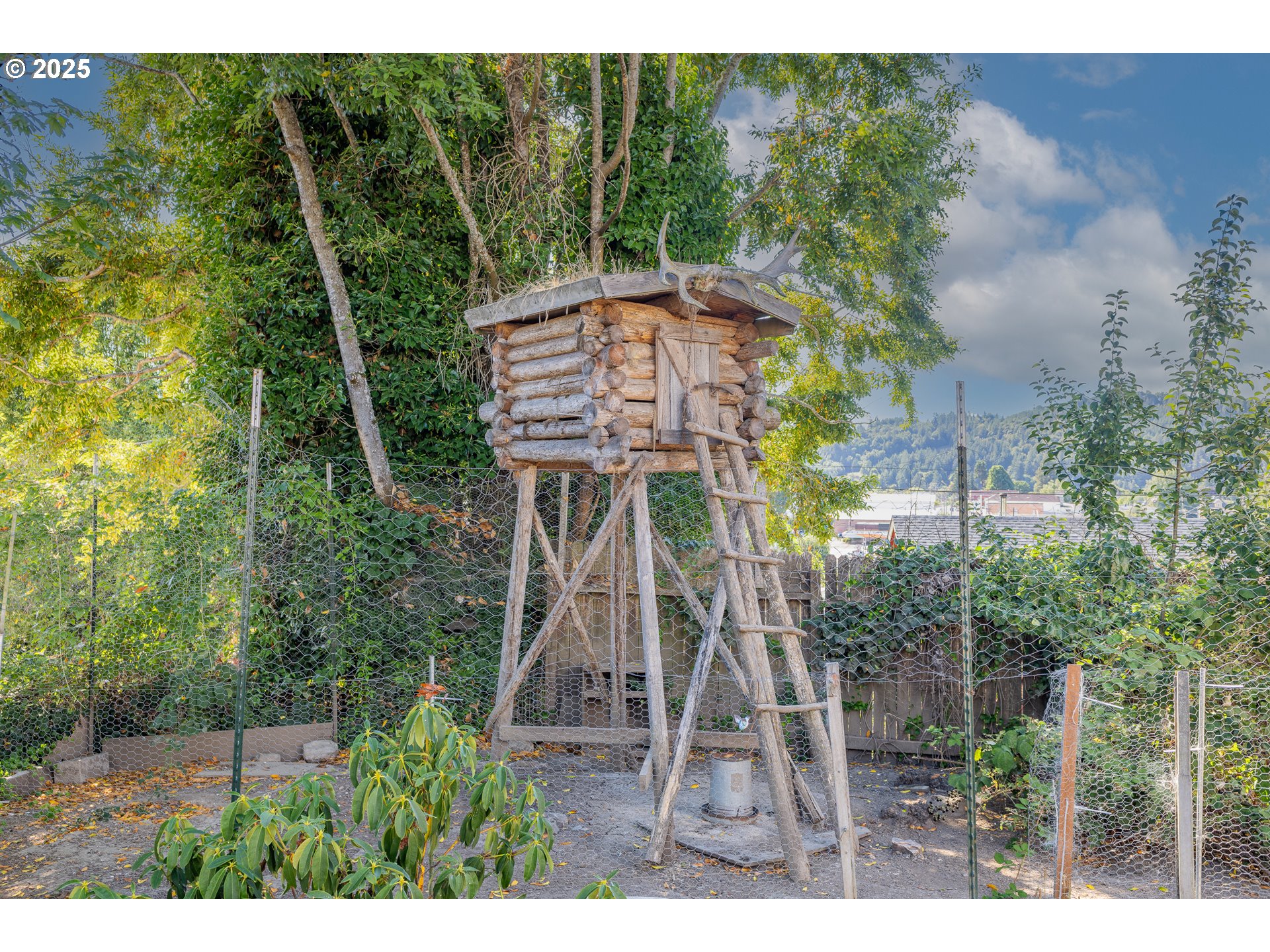 1112 Spruce Street Myrtle Point, OR 97458 - Photo 46 of 47 a backyard of a house with lots of green space