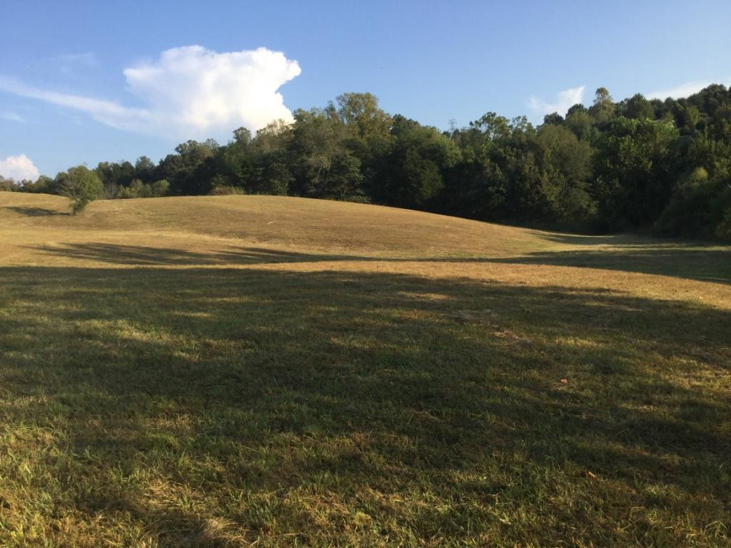 555 Poplar Springs Road Greeneville, TN 37743 - Photo 1 of 12 Photo 1