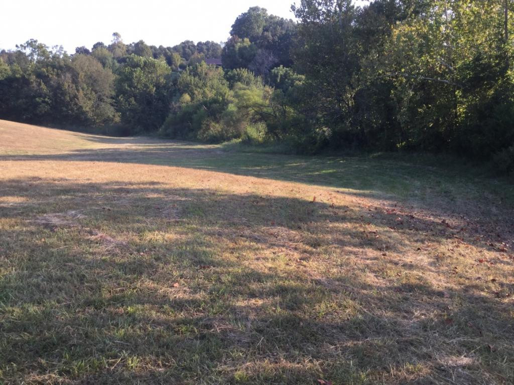 555 Poplar Springs Road Greeneville, TN 37743 - Photo 3 of 12 Photo 3