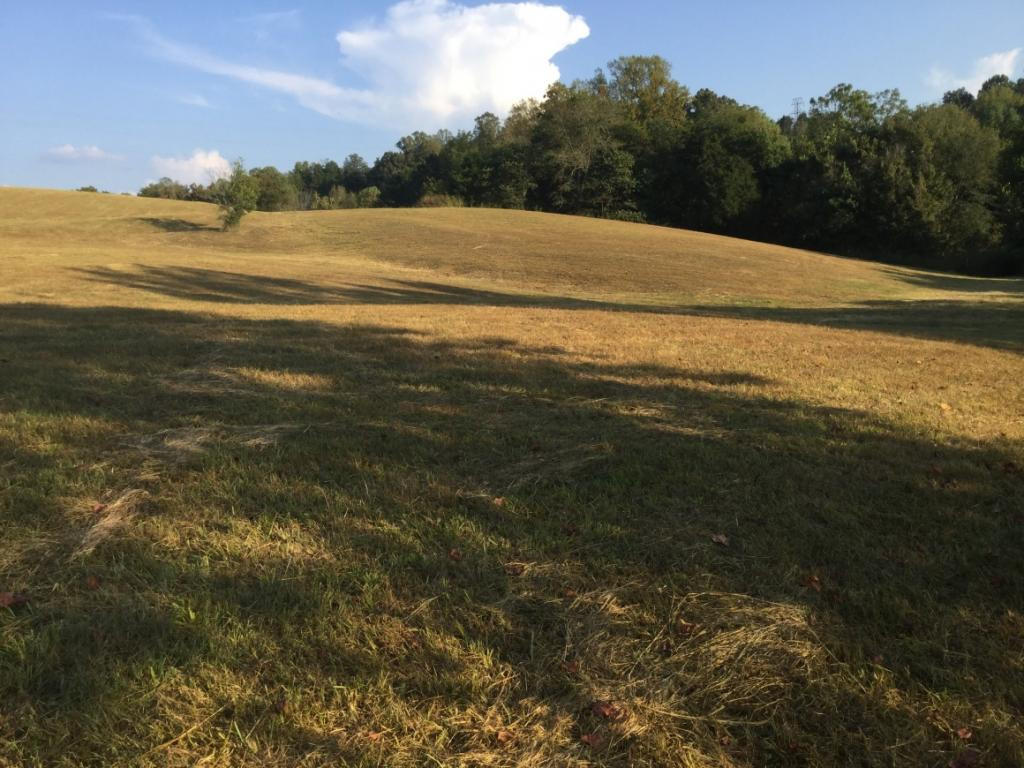 555 Poplar Springs Road Greeneville, TN 37743 - Photo 5 of 12 Photo 5