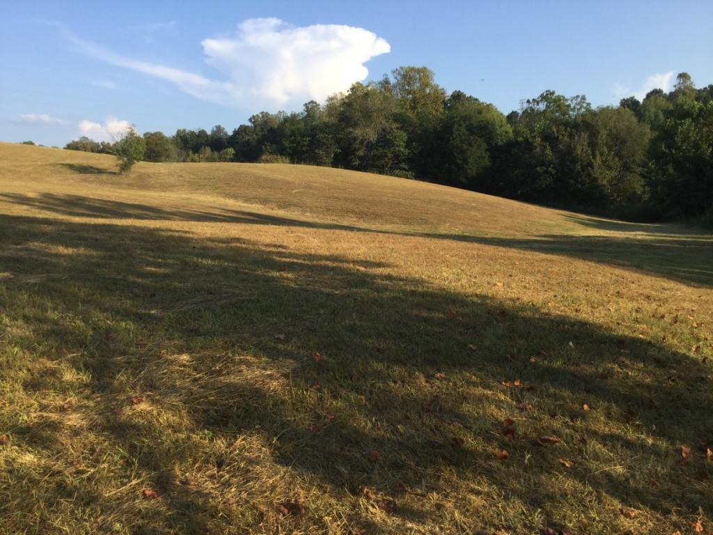 555 Poplar Springs Road Greeneville, TN 37743 - Photo 8 of 12 Photo 8