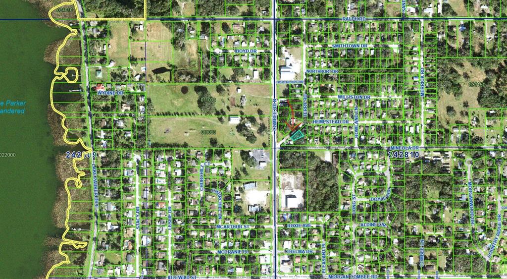 1607 Terry Road Lakeland, FL 33801 - Photo 6 of 6 a close up of a plant