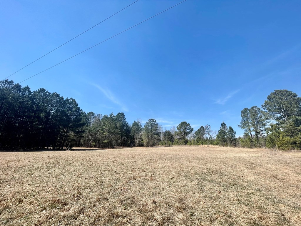 4885 Borden Road Rembert, SC 29128 - Photo 3 of 20
