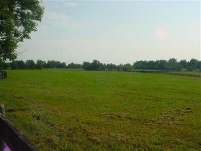 4152 Paris Road Georgetown, KY 40324 - Photo 7 of 9 Photo 7